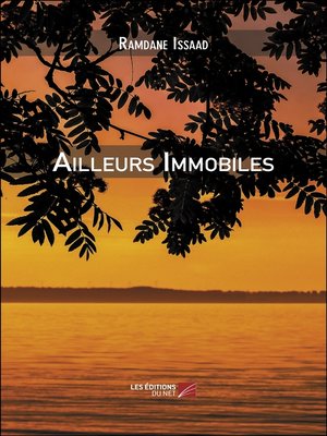 cover image of Ailleurs Immobiles